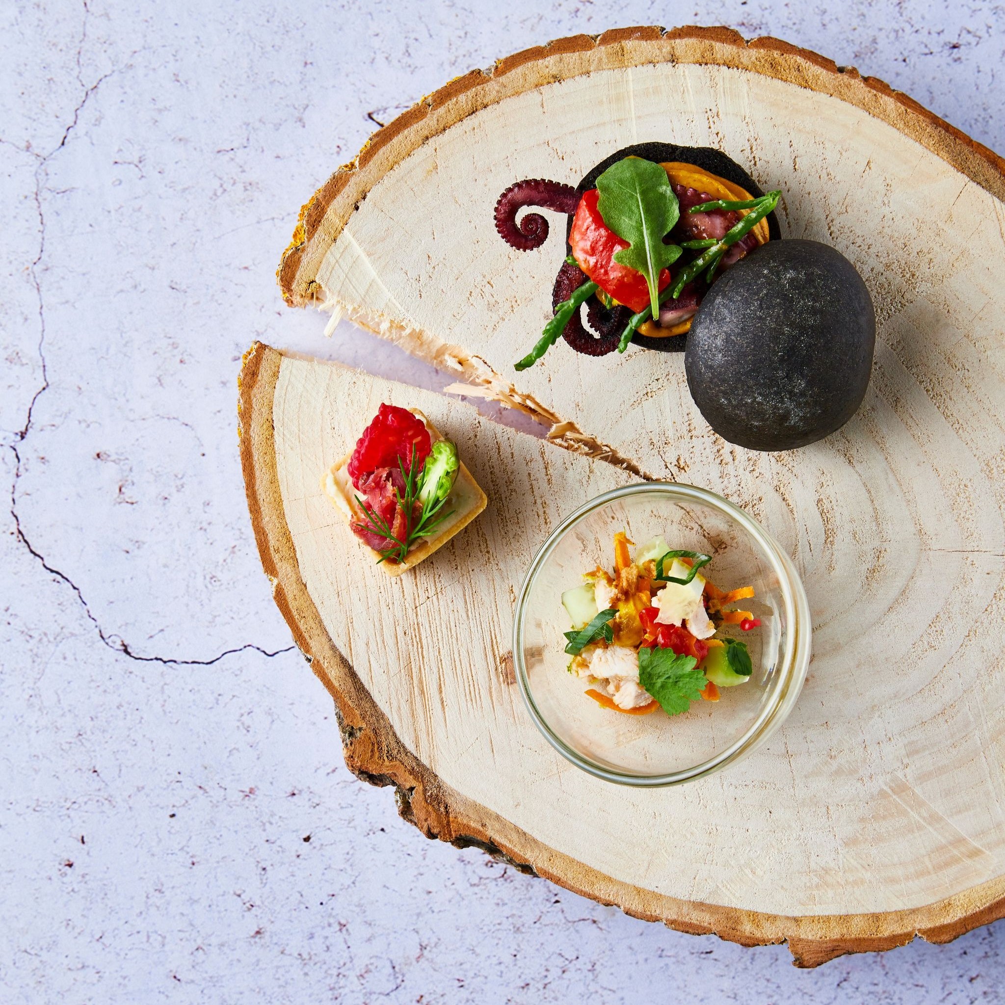 356192216_230728019799590_1194714482481357865_n - Copie